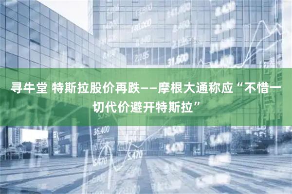 寻牛堂 特斯拉股价再跌——摩根大通称应“不惜一切代价避开特斯拉”